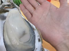 -蚝专家(北滘店)