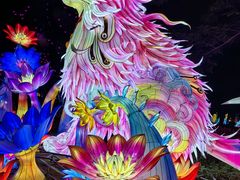 -厦门园林博览苑
