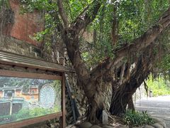 -草庵摩尼教遗址公园