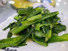 -撒拉人家.酸菜牦牛肉火锅