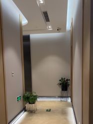 -agge蛋白医美