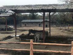 -西安秦岭野生动物园