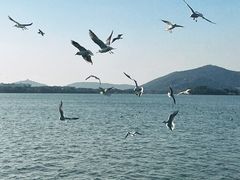 -蠡湖大桥公园