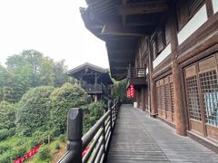 -大唐贡茶院