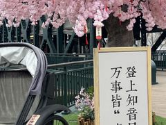 -武汉知音号