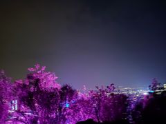 -红光山