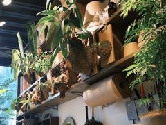 -自由生长植物工作室(深港花卉中心店)