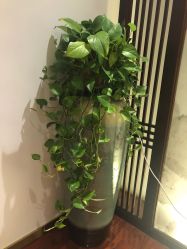 -丹漪·DANYI 美肤中心