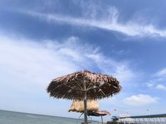 -放鸡岛生态旅游国际度假区