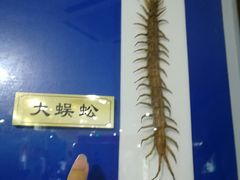 -上海昆虫博物馆