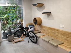 -伟伟宠物医院·CT影像中心·瑞派犬猫综合性门诊(汉口总院)