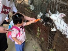 -草根堂农场