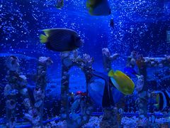 -太平洋海底世界