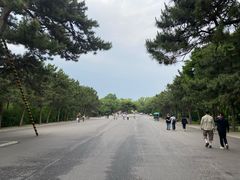 -北陵公园