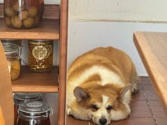 -肥朵食堂(带梦胡同店)