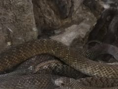 -荔城生鲜盛宴(番禺旗舰店)
