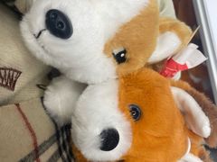 -凯德广场(西城店)