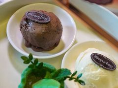 -北京索菲特大酒店