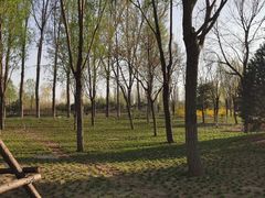 -东郊湿地公园