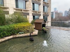 -行者书屋大堂吧 ·下午茶(南京圣和府邸酒店)