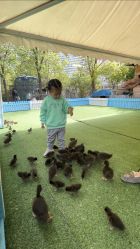 -萌宠亲子动物乐园(槐房万达店)