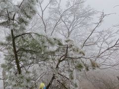 -武当山风景区