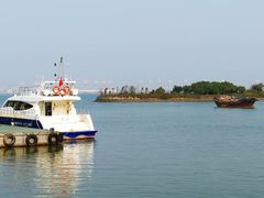 -大湾区中央湿地公园-十九涌