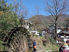 -塔川景区
