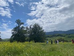 -新疆那拉提国家旅游度假区