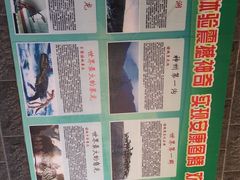 -诸城市恐龙博物馆