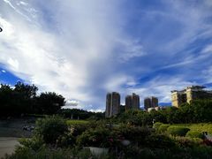 -深圳国际园林花卉博览园