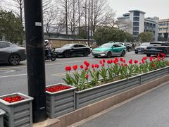 -浙江大学(玉泉校区)