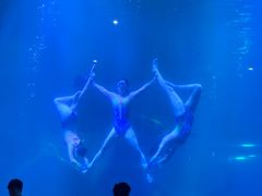 -福州罗源湾海洋世界旅游区