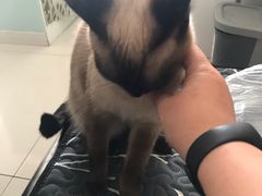 -平行世界·猫咖(首经贸店)