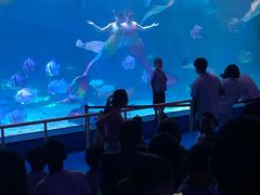-泉城欧乐堡海洋极地世界