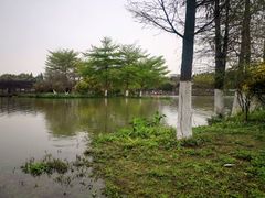 -海珠湖公园
