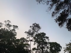 -广州市白云山风景名胜区