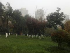 -龙头寺公园