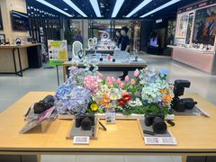 -Sony Store索尼(广州正佳店)
