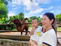 -海南热带野生动植物园