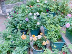 -西安汉城湖景区