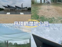 -盐城丹顶鹤湿地生态旅游区