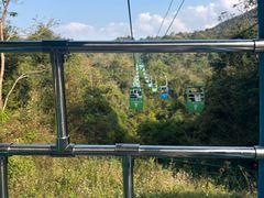 -野象谷景区