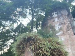 -峨眉山报国寺