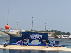 -秦皇岛乐岛海洋王国