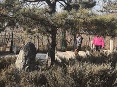 -府君山公园