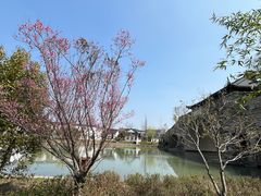 -广富林郊野公园