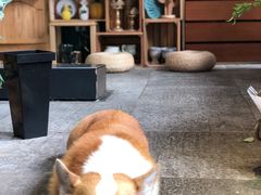 -771餐吧·咖啡·西餐·烤肉(金湖广场店)