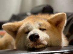 -YCHL Studios健身工作室(市二宫店)