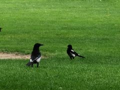 -中华世纪坛-停车场